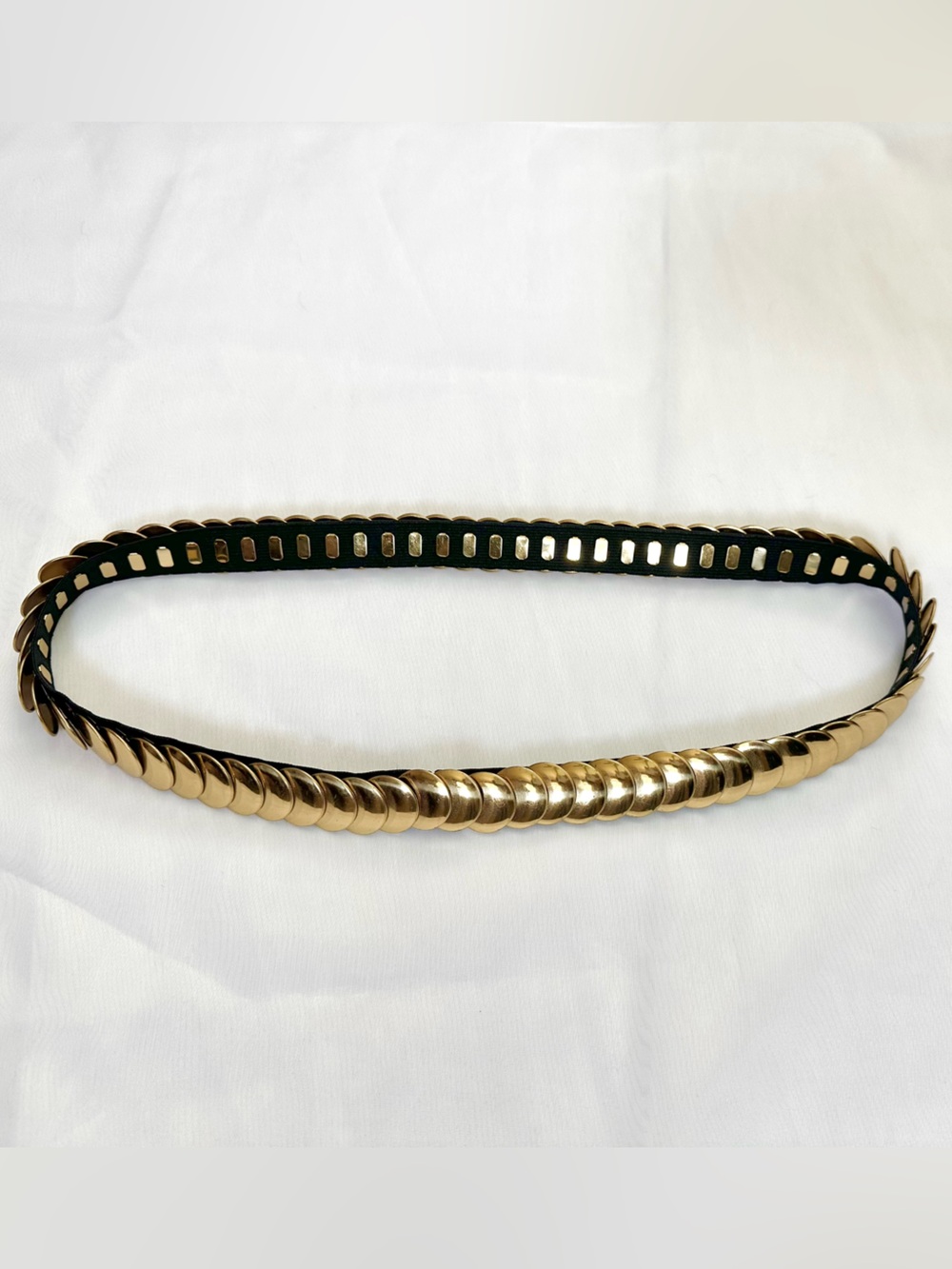 Gold Metal belt disc cinch